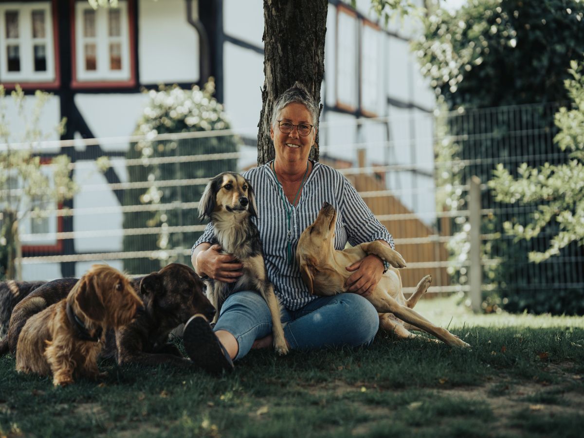 Warum Hunde beim Gassi „nicht hören“ – der Grund liegt oft im Wohnzimmer