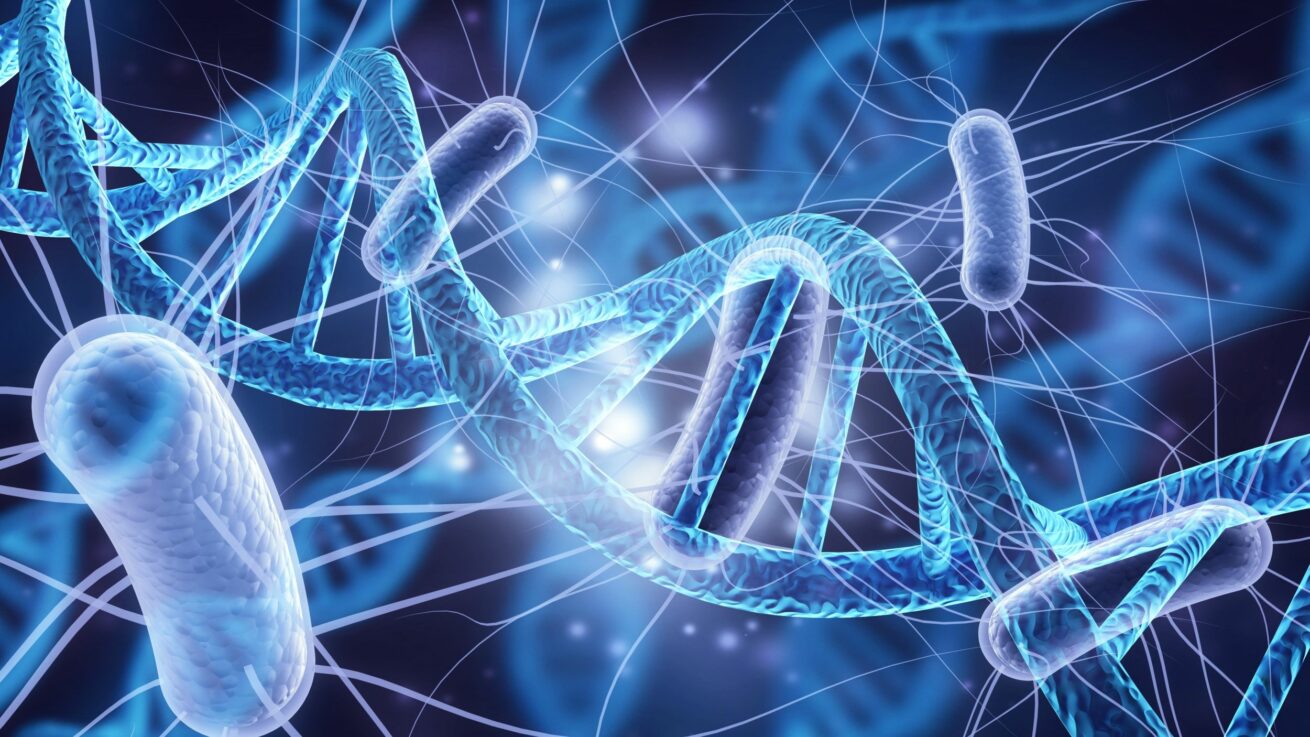 Das eigene Mikrobiom kennen  – warum individuelle Darmdiagnostik heute entscheidend für die Gesundheit ist