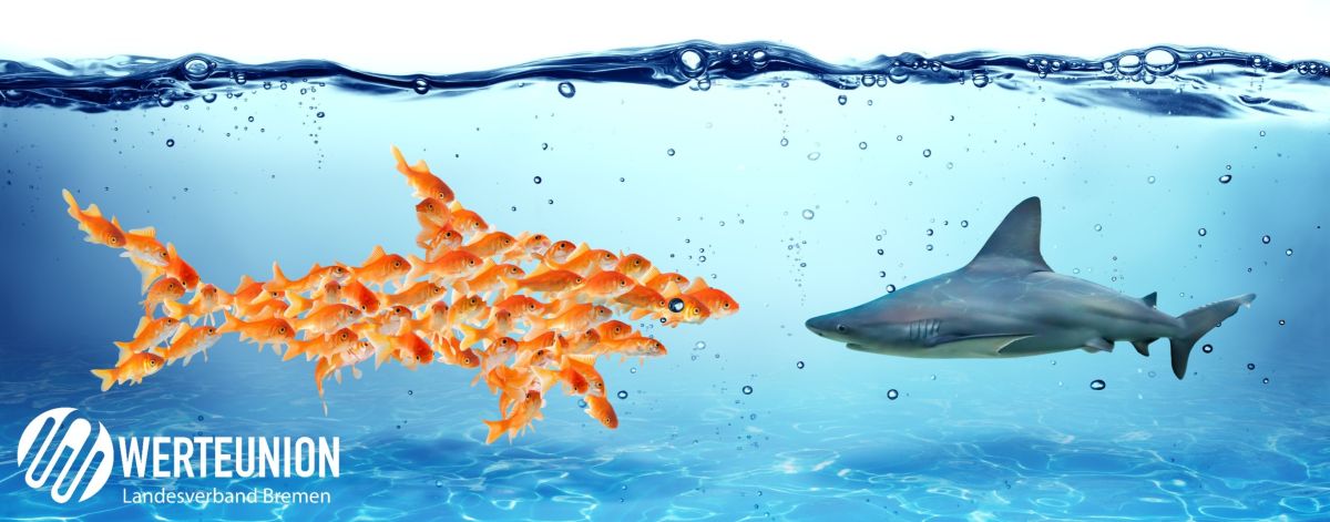 Eigenständig bleiben, gemeinsam gewinnen. Union der Kleinparteien.