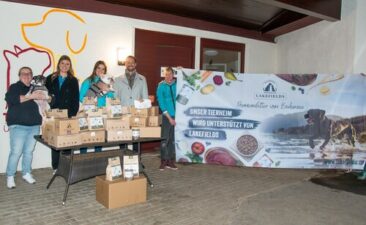 Langfristige Verantwortung statt kurzfristiger Gesten