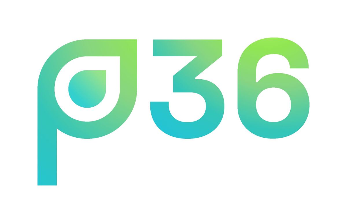 p36 gibt allgemeine Verfügbarkeit von UDI Hub bekannt