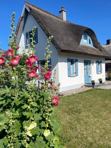 Reethaus direkt am Meer Störtebeker Urlaub mit Hunden