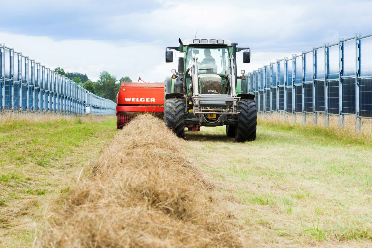 Start des Crowdinvestments für Agri-Solarpark „Camino Adorf“