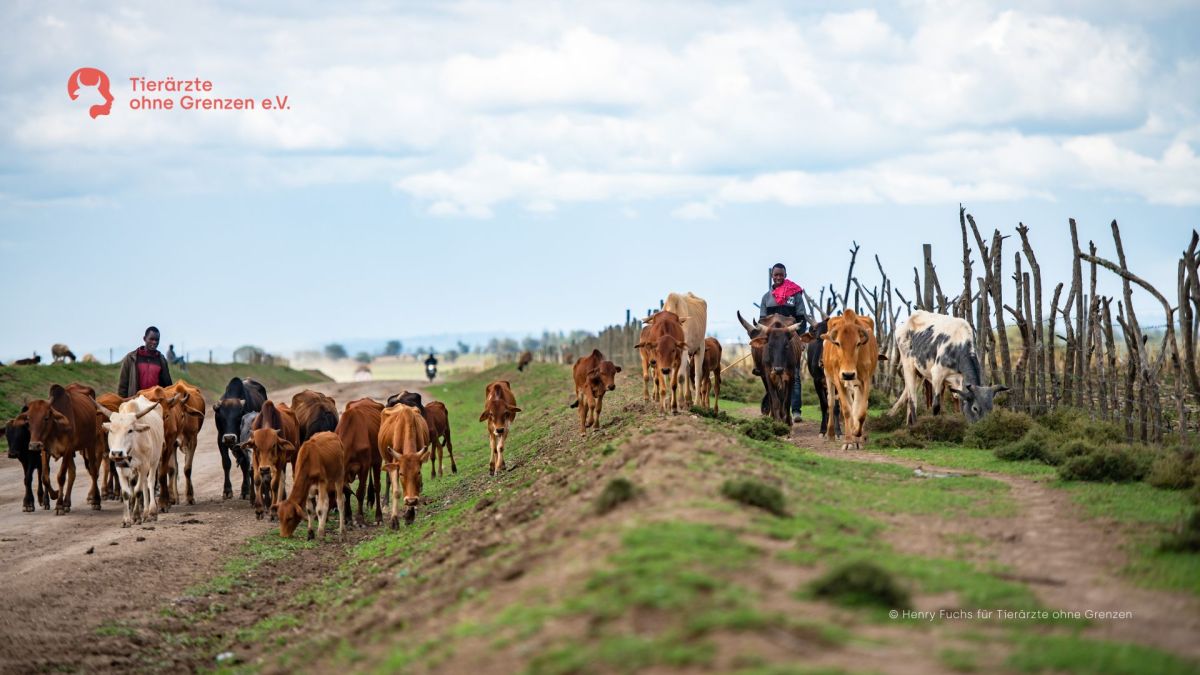 Wanderhirten ins Zentrum der Aufmerksamkeit rücken