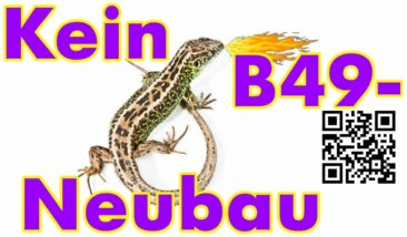 Wie mit gefälschten Zahlen neue Straßenprojekte durchgedrückt werden – das Beispiel B49 bei Reiskirchen