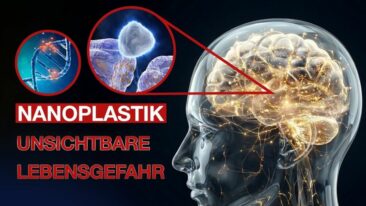 Wie Nanoplastik unser Gehirn, unsere Kinder und die Biosphäre zerstört | ALLATRA-Forschungszentrum