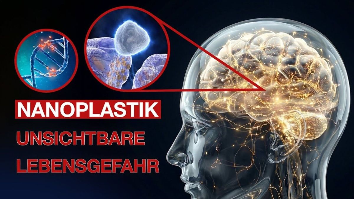 Wie Nanoplastik unser Gehirn, unsere Kinder und die Biosphäre zerstört | ALLATRA-Forschungszentrum