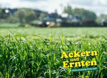AGRAVIS-Podcast: Erfolgreich ins Weidejahr – Grünlandpflege, Anweiden & erster Schnitt