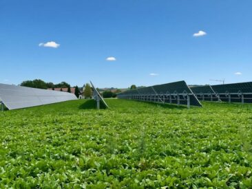 Arbeitsentwurf EEG 2027: Ylektra begrüßt das Bekenntnis zur Agri-PV, warnt jedoch vor Stagnation