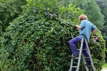 Bei Mietwohnungen: Gartenarbeit kann Streit säen