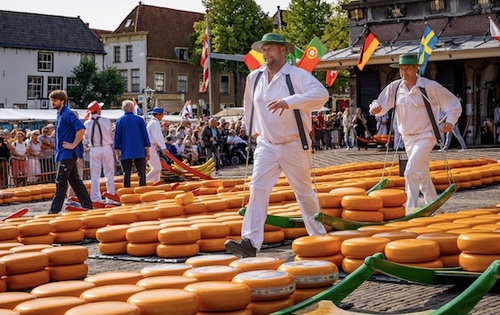 Führung über Alkmaars Käsemarkt: Auf den Spuren jahrhundertealter Tradition