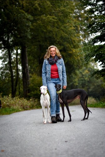 Galgo-Bootcamp 2026: Intensivtraining für Halter sensibler Windhunde