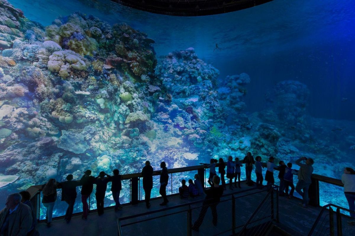 Great Barrier Reef – Das Panorama von Yadegar Asisi im Panometer Dresden