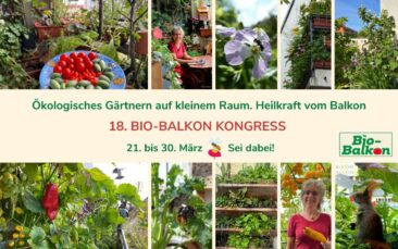 Heilkraft vom Balkon hilft in herausfordernden Zeiten