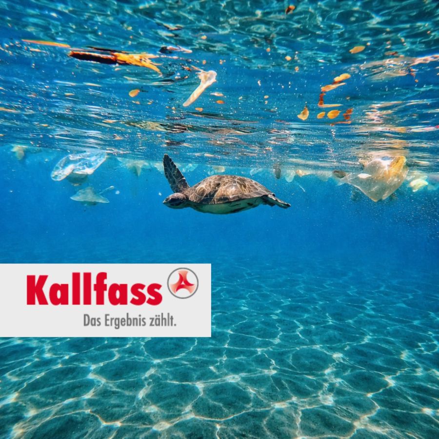 Kallfass-Wrap® spart bis zu 90 % Kunststoff – Nachhaltige Verpackungslösung für die Frischetheke