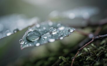 Klangheilung und Hermetik: Das Prinzip von Ursache und Wirkung als Schlüssel zur bewussten Lebensgestaltung