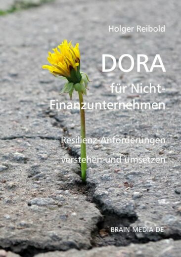 Neues Praxisbuch erklärt DORA verständlich für SaaS-, MSP- und Cloud-Anbieter