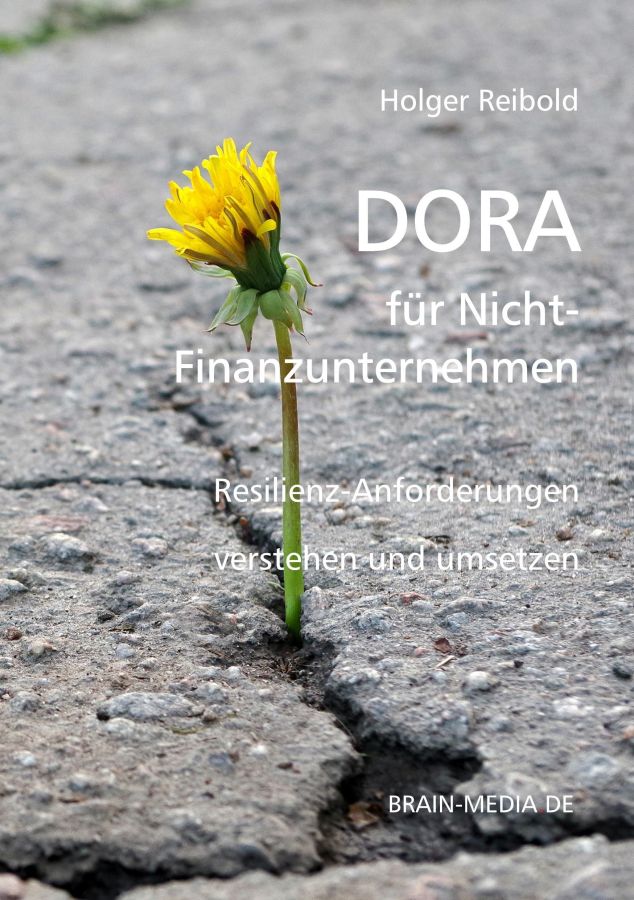 Neues Praxisbuch erklärt DORA verständlich für SaaS-, MSP- und Cloud-Anbieter