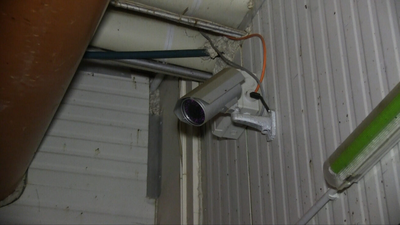 Schlachthof-Skandale: ANINOVA kritisiert Gesetzentwurf zur Videoüberwachung
