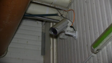 Schlachthof-Skandale: ANINOVA kritisiert Gesetzentwurf zur Videoüberwachung
