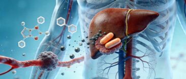 Fettleber weltweit auf dem Vormarsch: Lancet-Studie warnt vor Milliarden Betroffenen