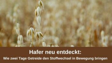 Hafer neu entdeckt: Wie zwei Tage Getreide den Stoffwechsel in Bewegung bringen