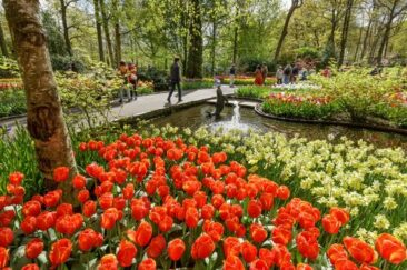 Koningsdag in Zandvoort: Badeort lockt mit geselligen Oranje-Festivitäten
