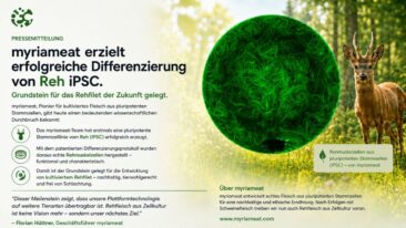 myriameat erzielt erfolgreiche Differenzierung von Reh-iPSC. Grundstein für das Rehfilet der Zukunft gelegt!