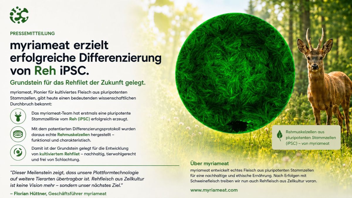 myriameat erzielt erfolgreiche Differenzierung von Reh-iPSC. Grundstein für das Rehfilet der Zukunft gelegt!