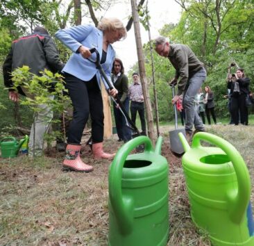 Pionierprojekt für Brandenburgs Wälder: Startschuss für den „Diedersdorfer Dauerwald“
