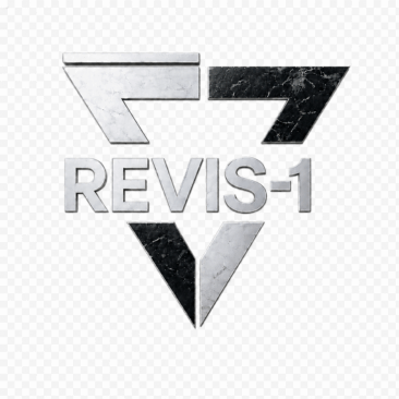 REVIS-1 begleitet Unternehmen aus der DACH-Region beim Markteintritt in die USA