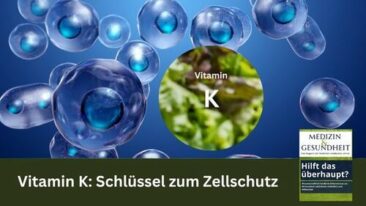 Vitamin K: Schlüssel zum Zellschutz