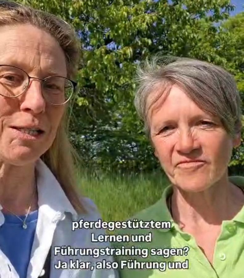 Warum Führung ohne Arbeitsrecht scheitert.