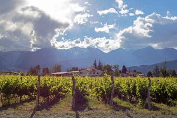Weinreisen durch Argentinien und Chile: Südamerikas Genussregionen entdecken