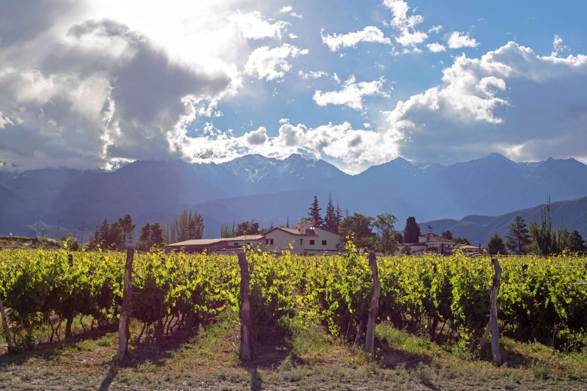 Weinreisen durch Argentinien und Chile: Südamerikas Genussregionen entdecken