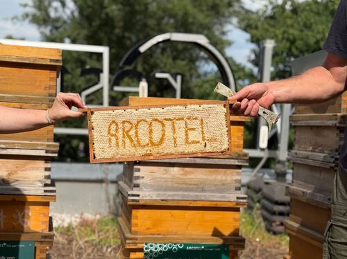 Weltbienentag 2026: ARCOTEL Hotels stark im Bienenschutz