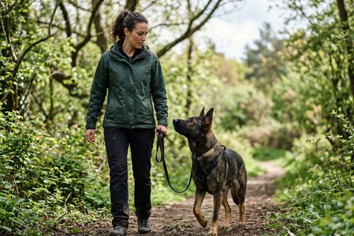Die 7 größten Fehler im Hundetraining mit Problemhunden – und wie du sie vermeidest