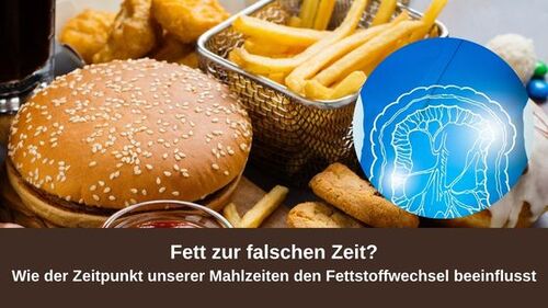 Fett zur falschen Zeit? Wie der Zeitpunkt unserer Mahlzeiten den Fettstoffwechsel beeinflusst
