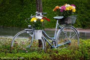 Sicher unterwegs: So sind Radler und Rad gut geschützt
