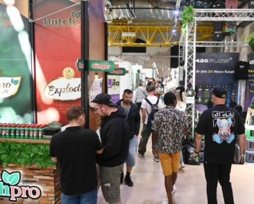 CannaFriends 2026: Die Vielfalt der Hanfpflanze erleben – in der Gebläsehalle Ilsede