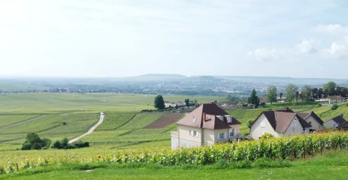 Champagner ist nicht gleich Champagner: Warum Non Dosage & Extra Brut die wahre Qualität zeigen