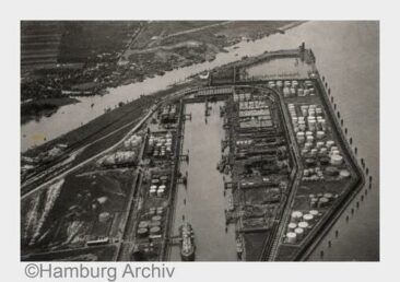 Der Elbwald wird 100 Jahre alt