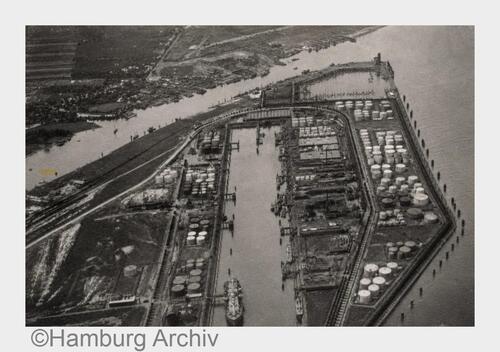 Der Elbwald wird 100 Jahre alt