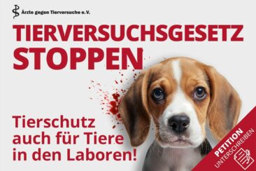 Geplantes Tierversuchsgesetz schwächt den Tierschutz – Bundestagspetition gestartet