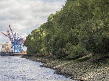 Interessenskonflikt im Hamburger Hafen eskaliert
