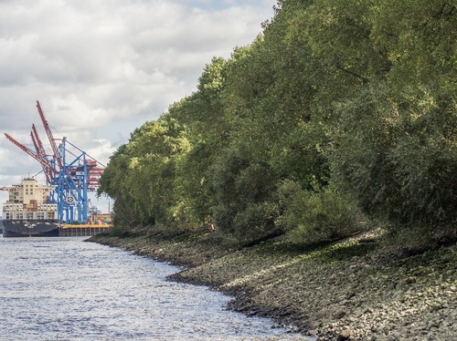 Interessenskonflikt im Hamburger Hafen eskaliert