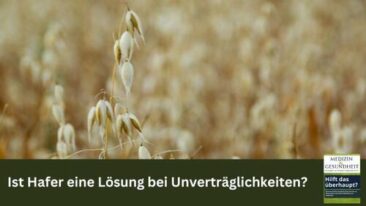 Ist Hafer eine Lösung bei Unverträglichkeiten?