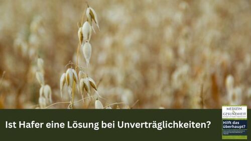 Ist Hafer eine Lösung bei Unverträglichkeiten?