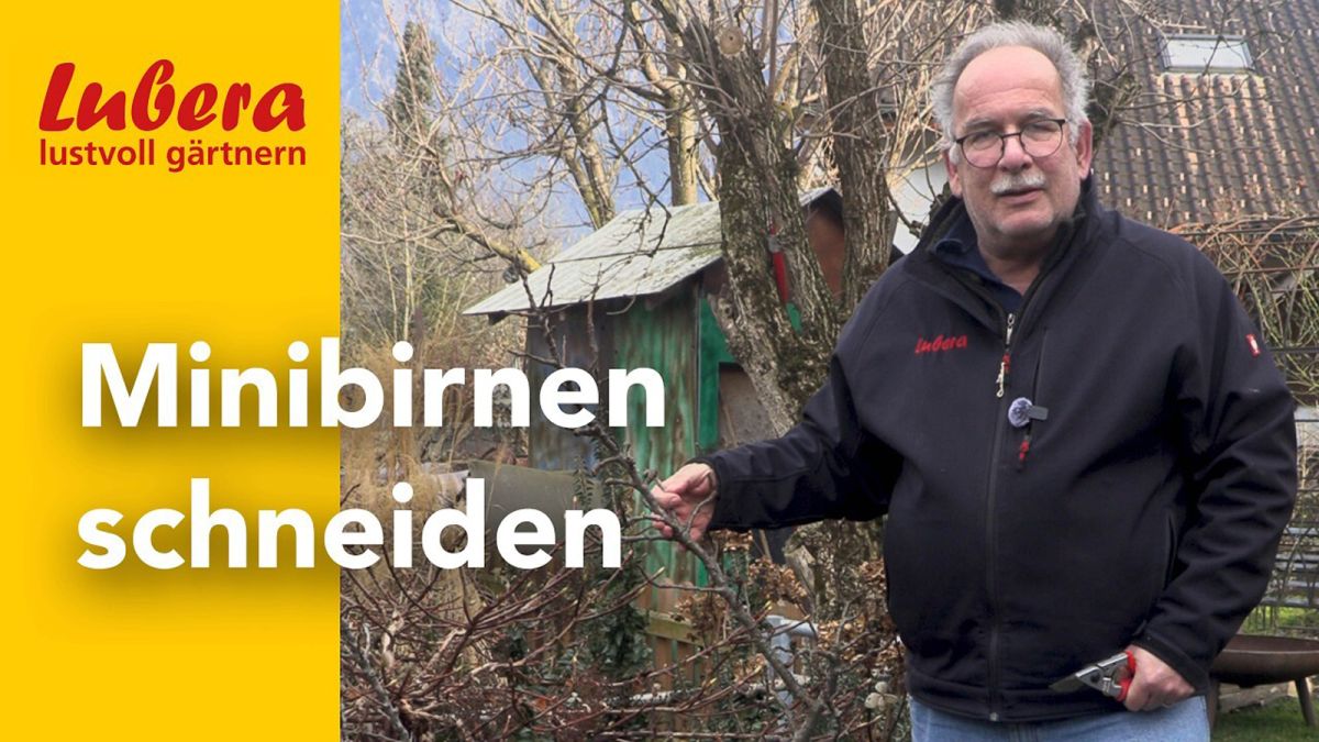 Lubera: Eine Baumschule mit 6000 Pflanzen und über 2500 Videos