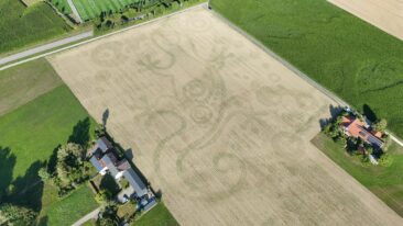 Monumentales Naturkunstwerk entsteht an bislang geheim gehaltenem Ort in Deutschland